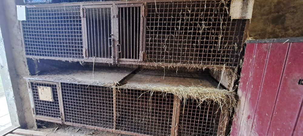 Клітки для нутрій і кролів