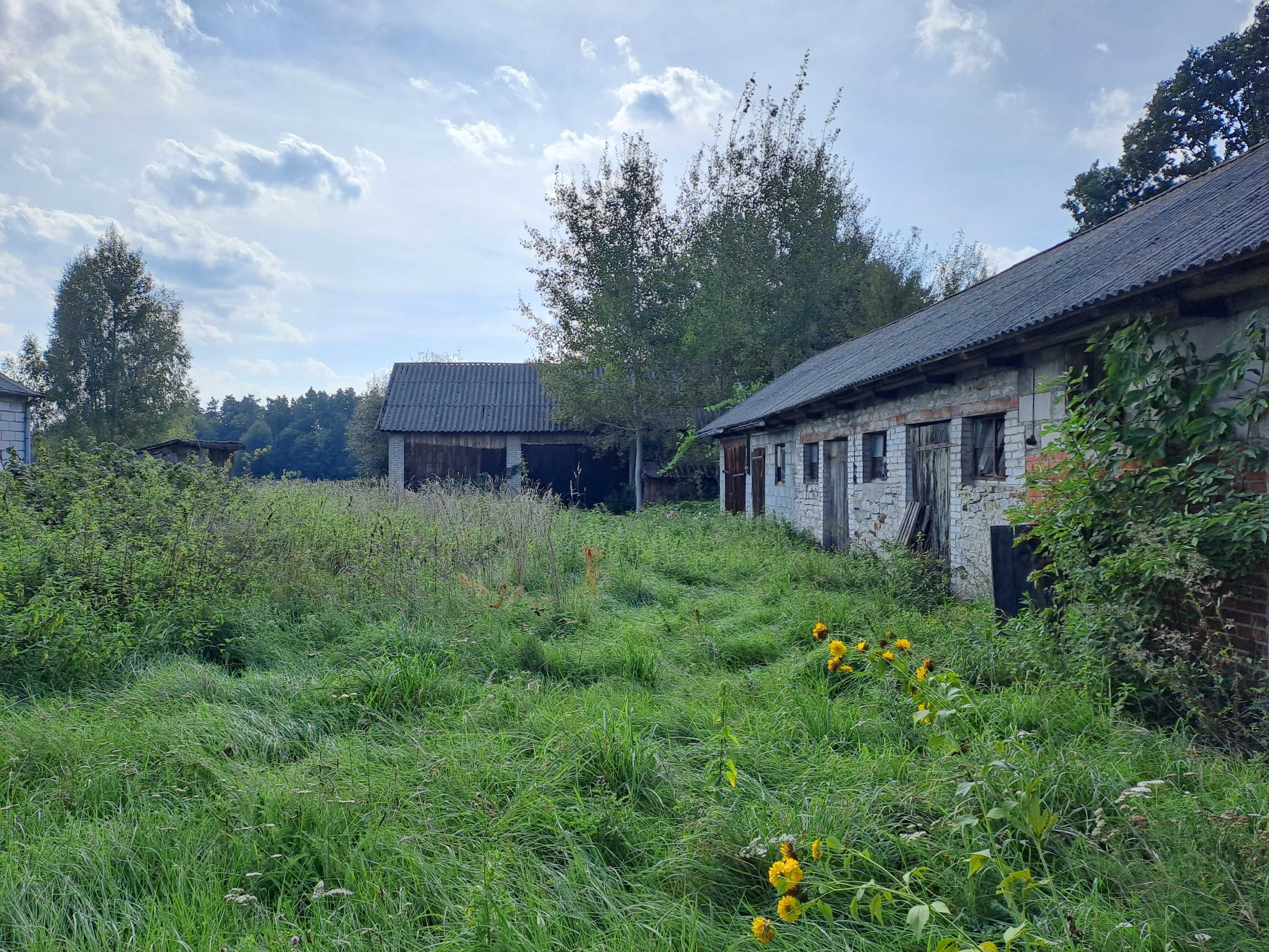 Dom z działką w Niemojowicach