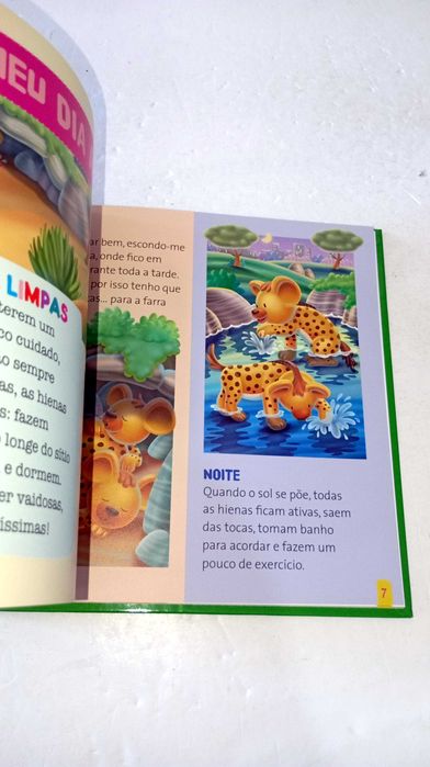 Fisi, a Hiena - Os meus animais do Zoo