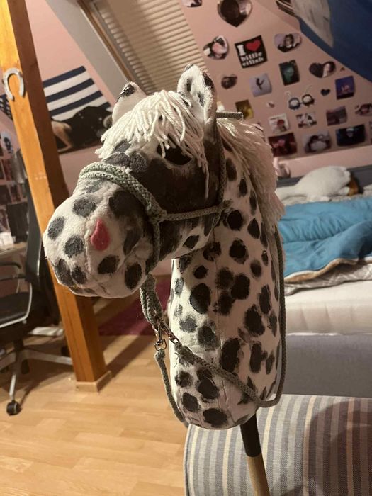 Hobby horse Konik w kropki a3 z kijem oraz akcesoriami

Nazwa: Konik w