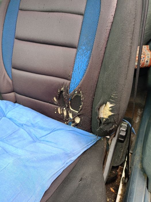 Продам авто . Passat