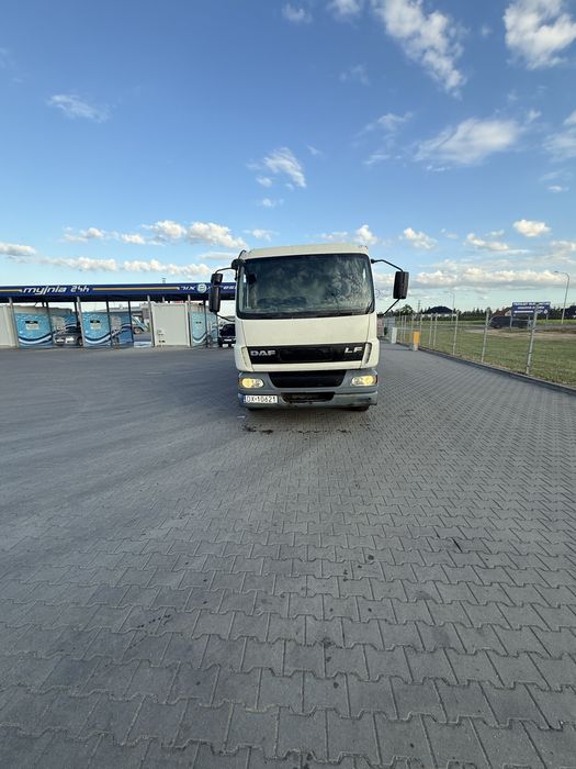 Daf LF Niezawodny