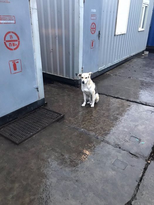 Молоденький хлопчик Карданчик