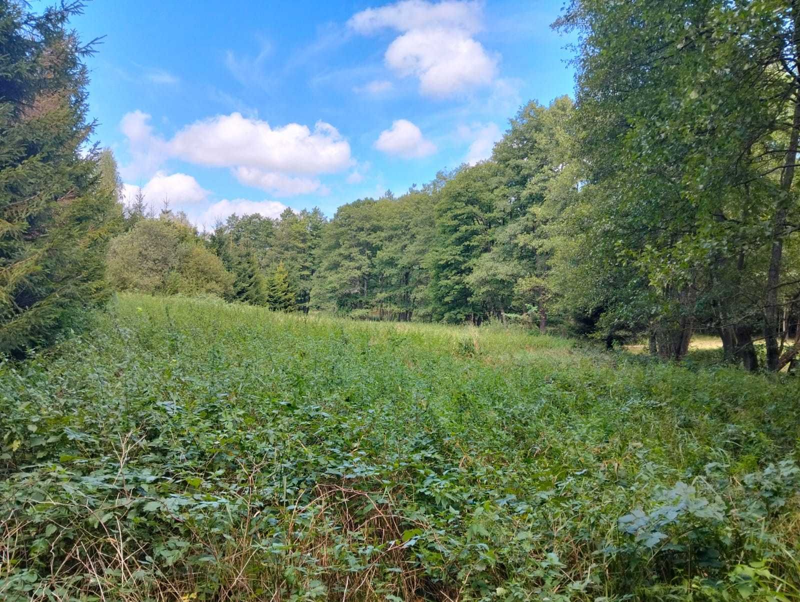 Działka  0,30 ha,  Koszalin 9 km,  Szczeglino,  PRĄD, MPZP, Rzeka
