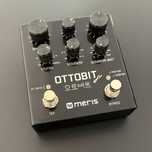 Meris Ottobit Jr.