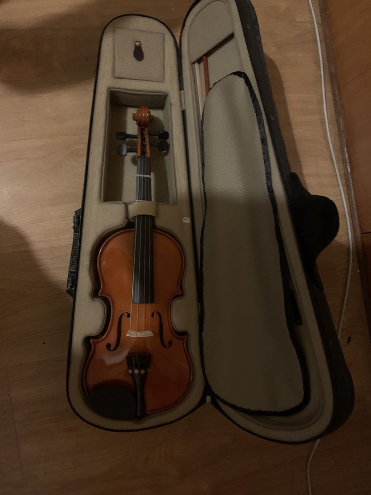 Violino de Madeira 1/2 Palatinol