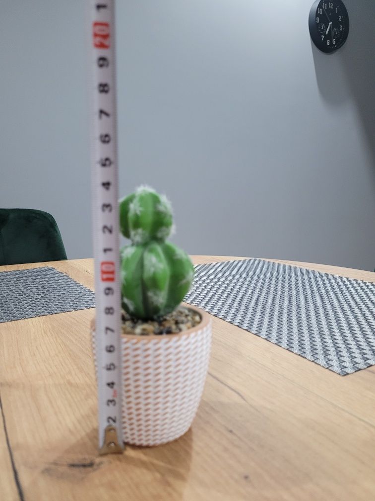 Mały kaktus sztuczny