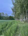 Działka REKREACYJNA 6900m2 NowaWieś i BUDOWLANA 2700m2 Kęty J. Kantego