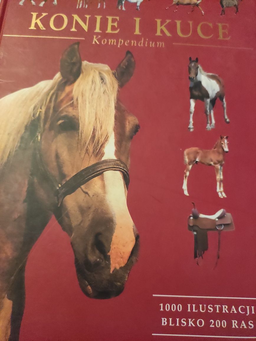 Konie i kuce twarda oprawa kompendium