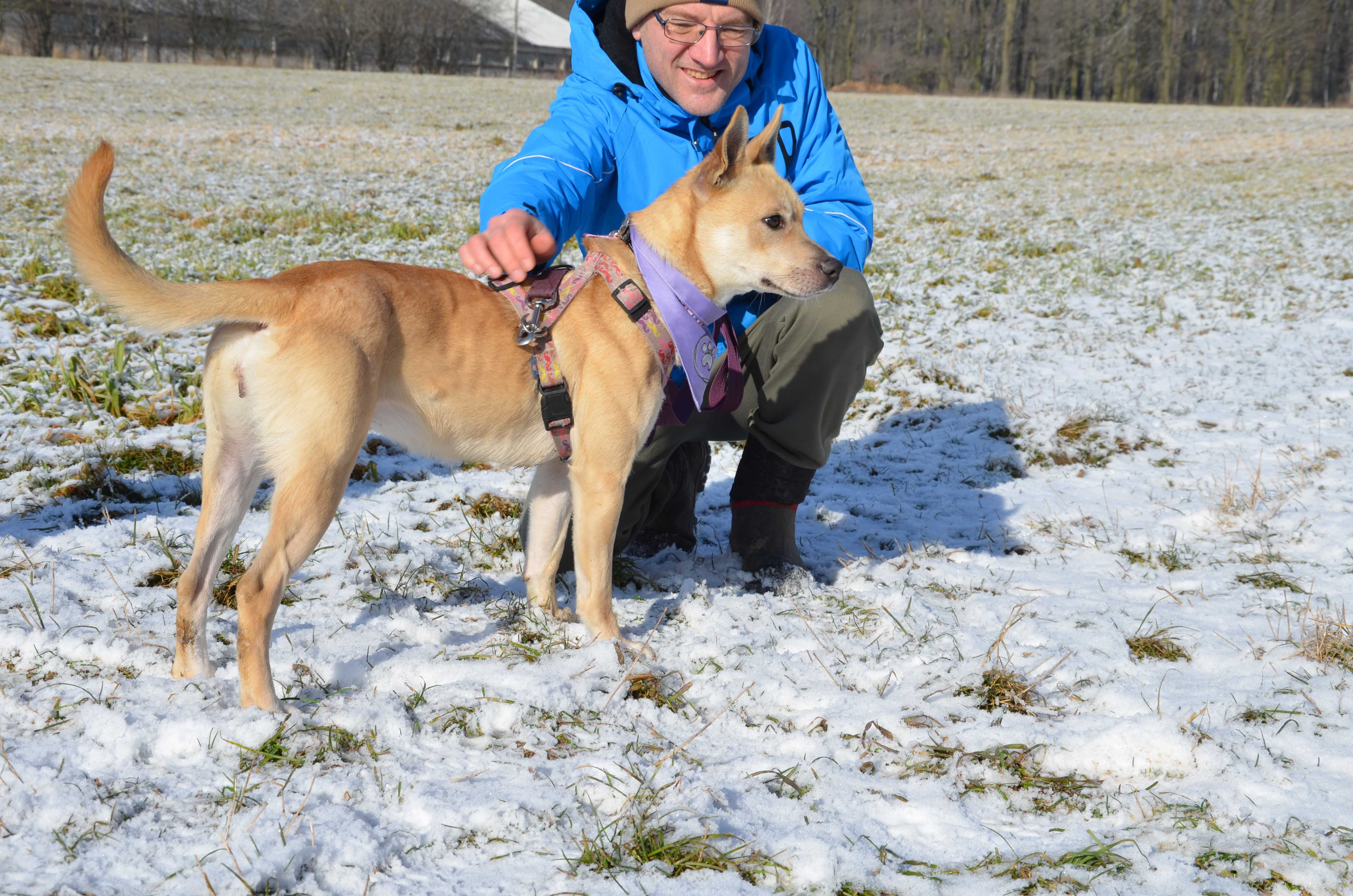 Solana - wspaniała, wrażliwa księżniczka do adopcji.
