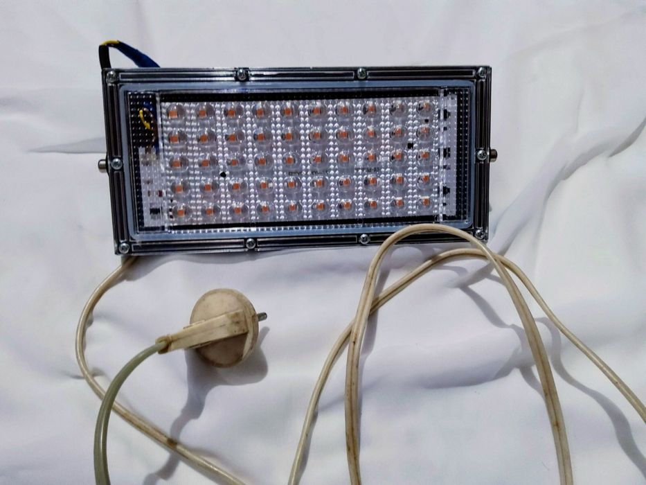 Фітолампа для рослин