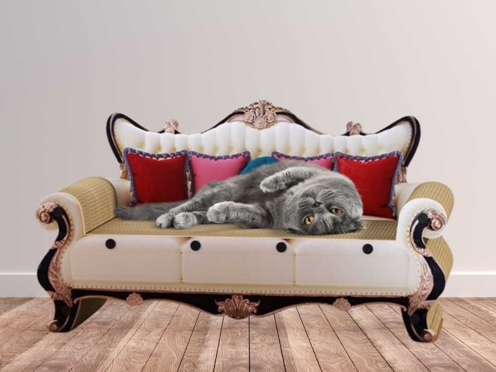 Drapak Tekturowy dla Kota Legowisko dla Kota Sofa Kanapa Leżak 60cm