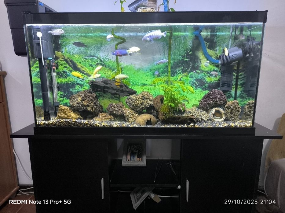 Aquário  com móvel