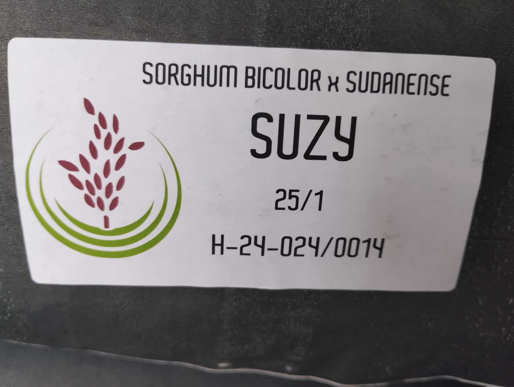 SUZY Sorgo z trawą sudańska - kwalifikowany C1 25 kg