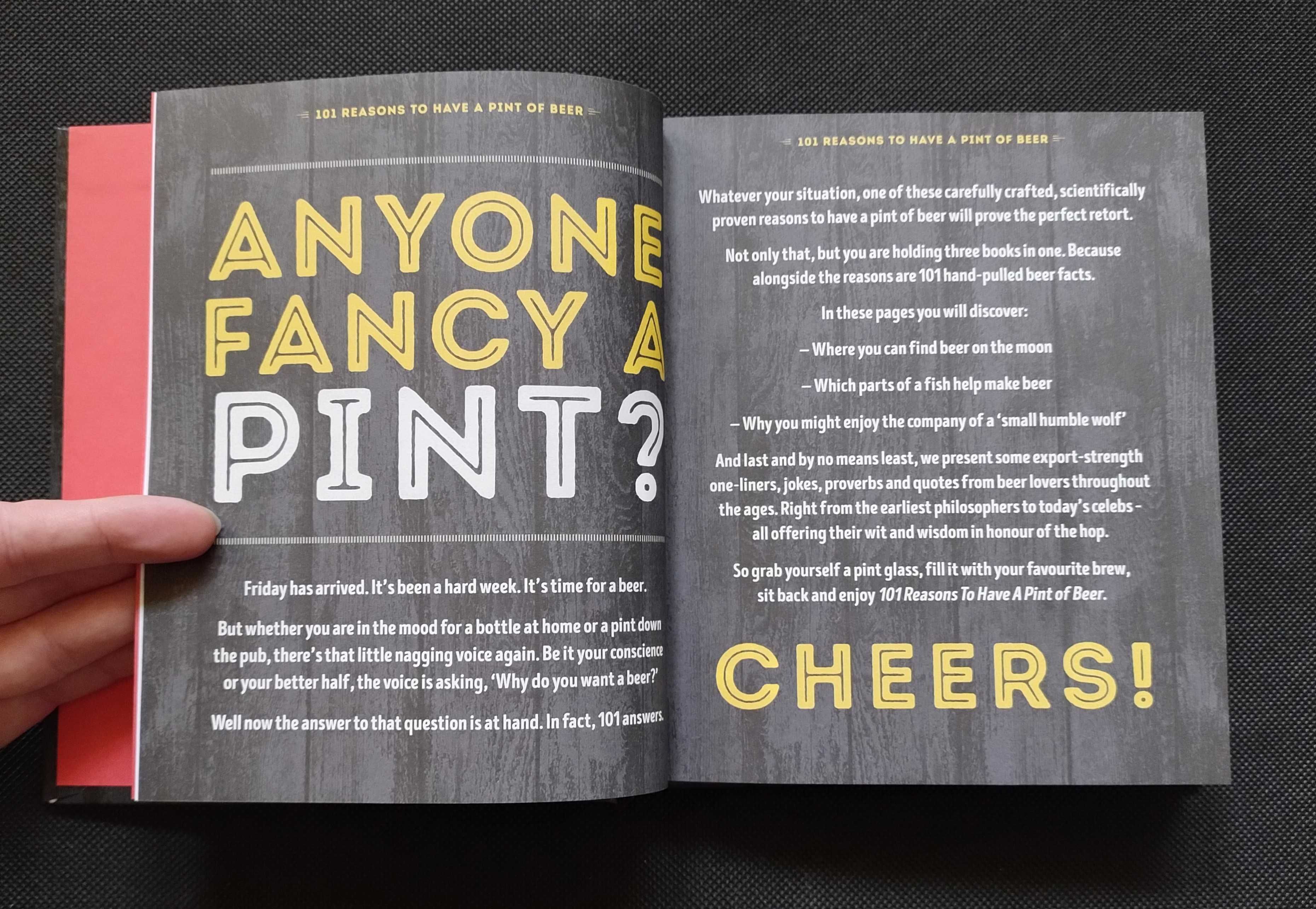 101 Reasons To Have A Pint Of Beer książka po angielsku english book