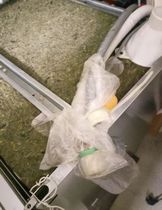 Zmywarka Whirlpool do zabudowy 60cm