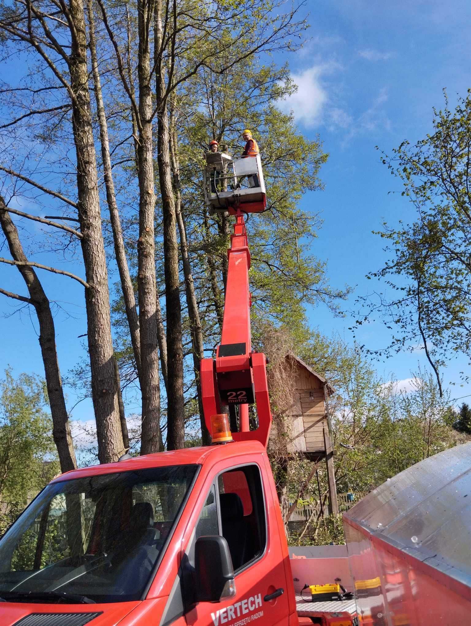 Usługi ogrodnicze Radom Wolne Terminy