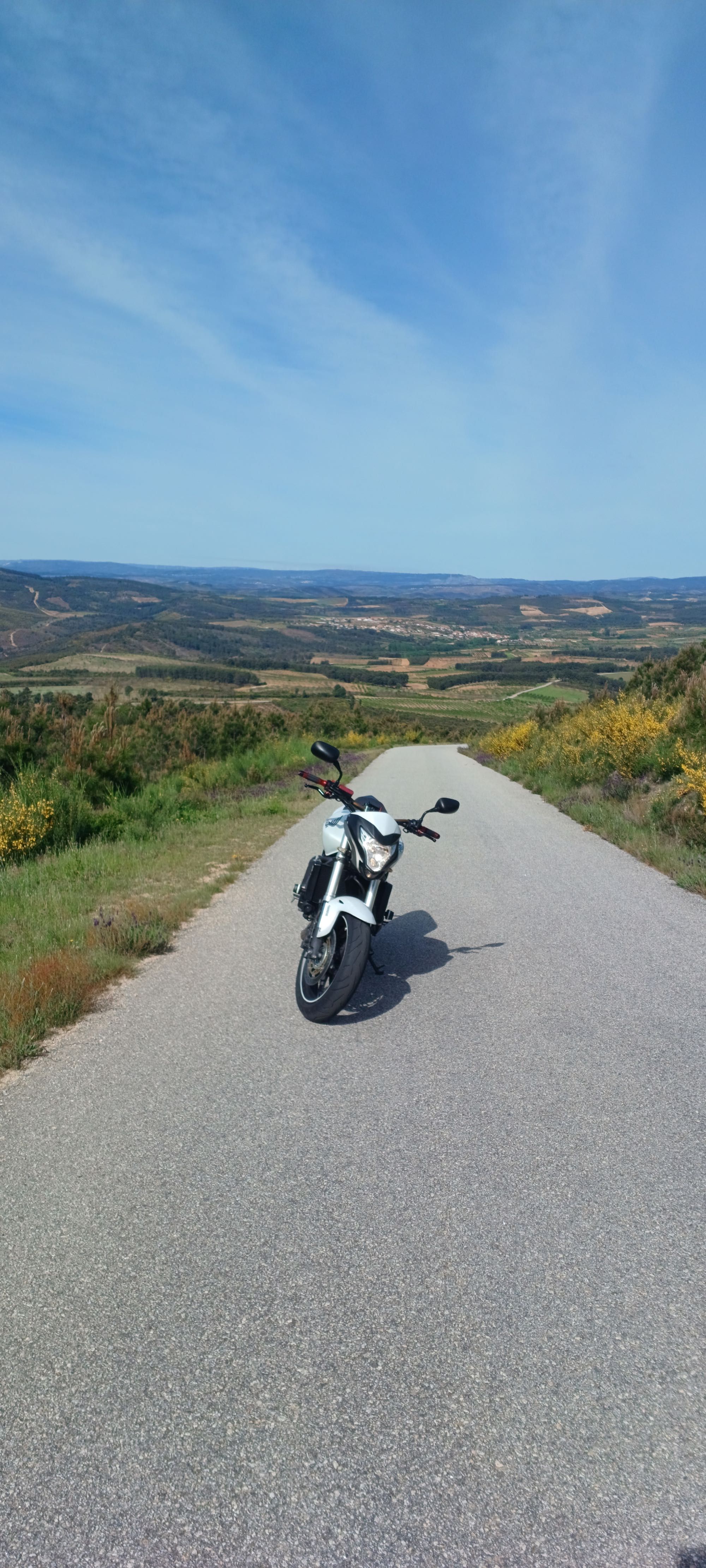 Honda hornet 2011