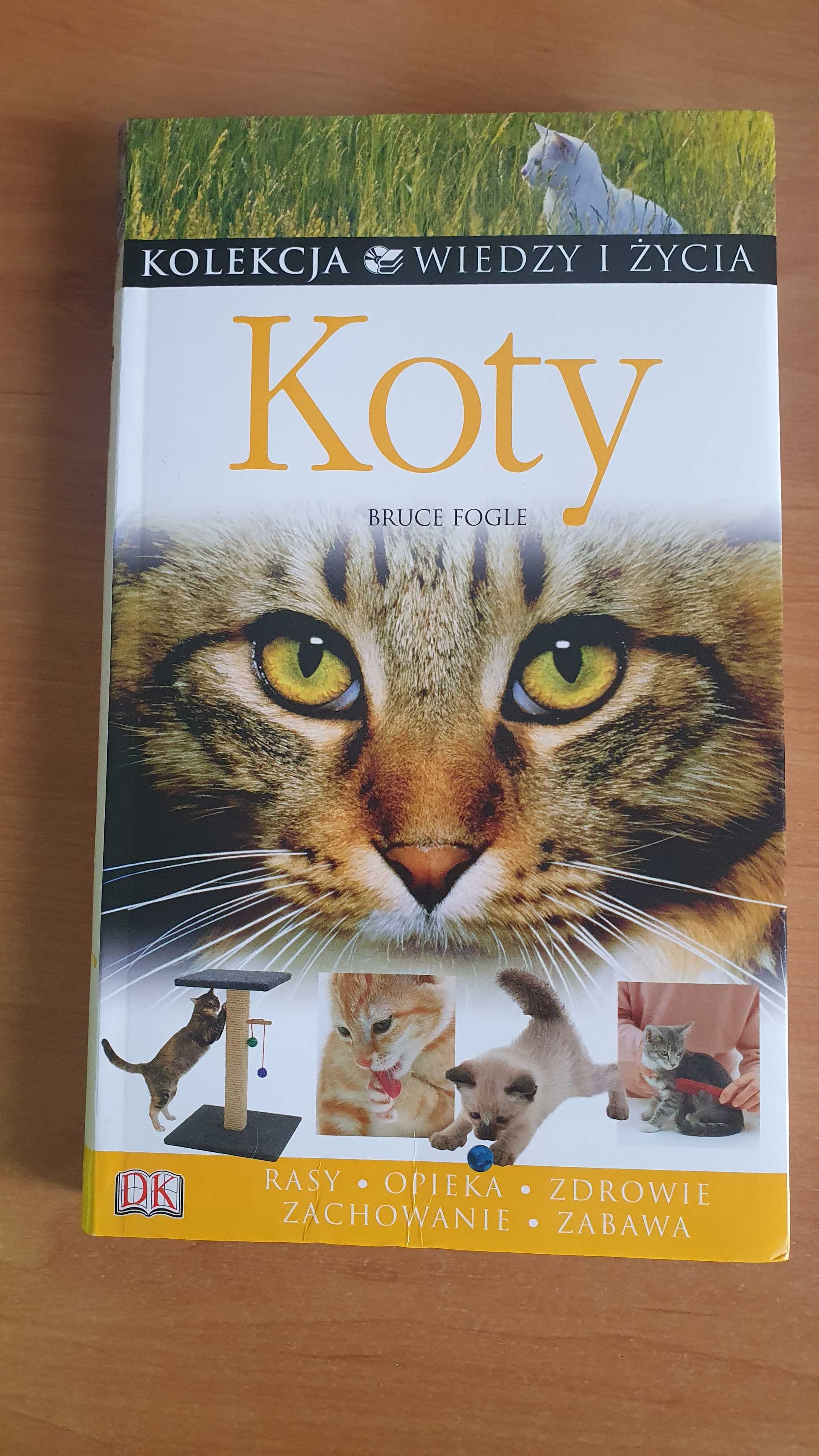 Koty - B. Fogle książka