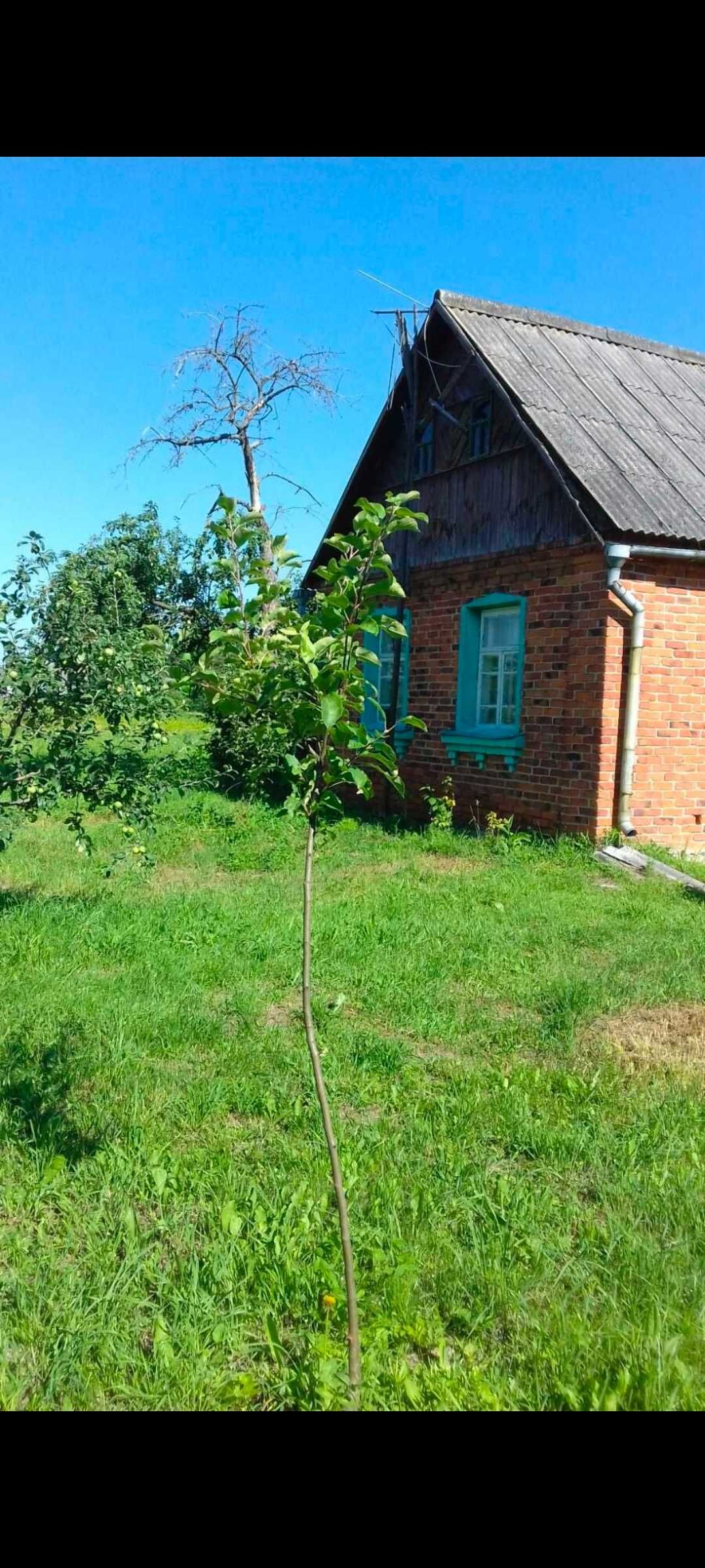 Будинок три кімнати