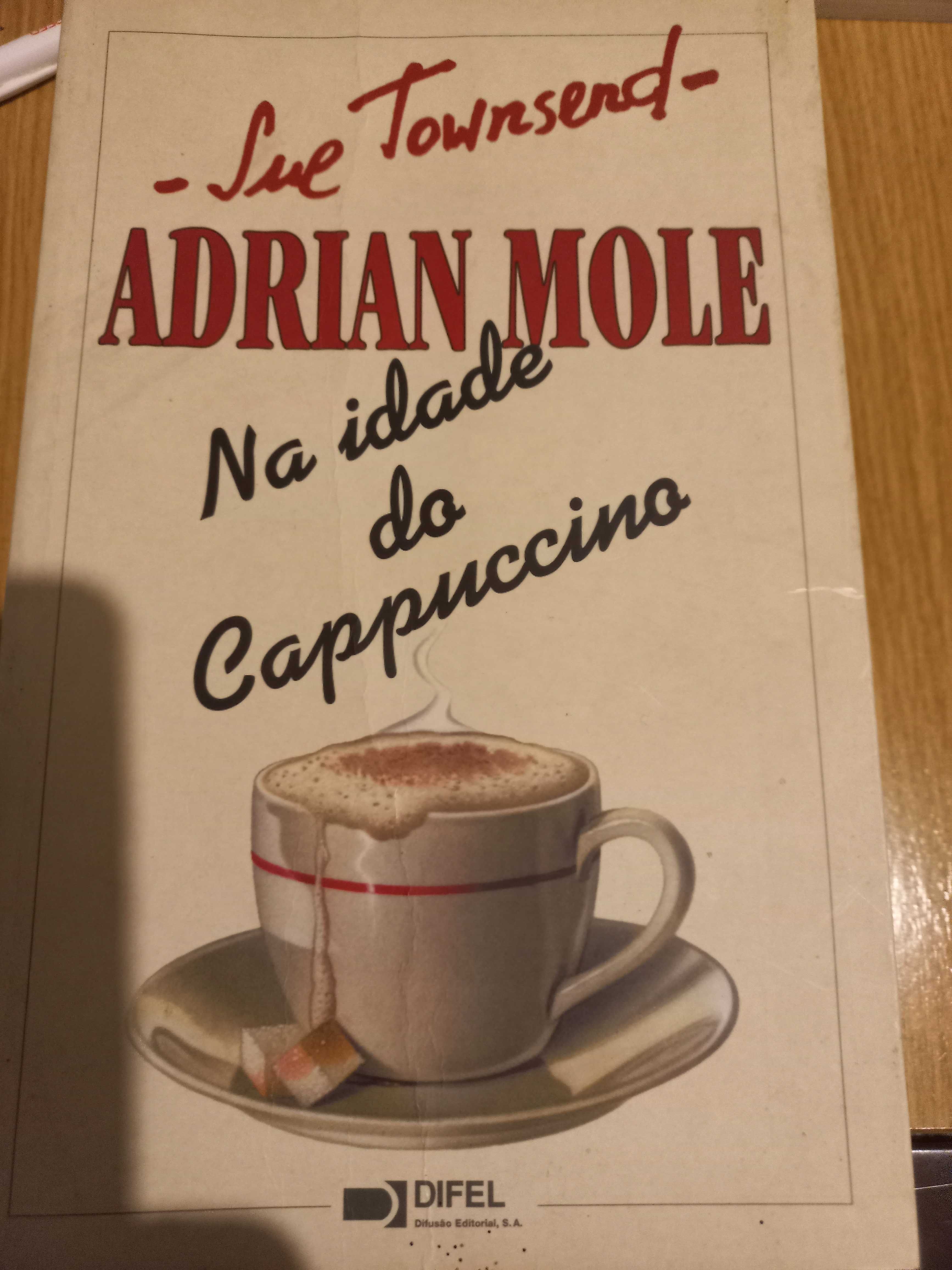 Livros Literatura  Romance