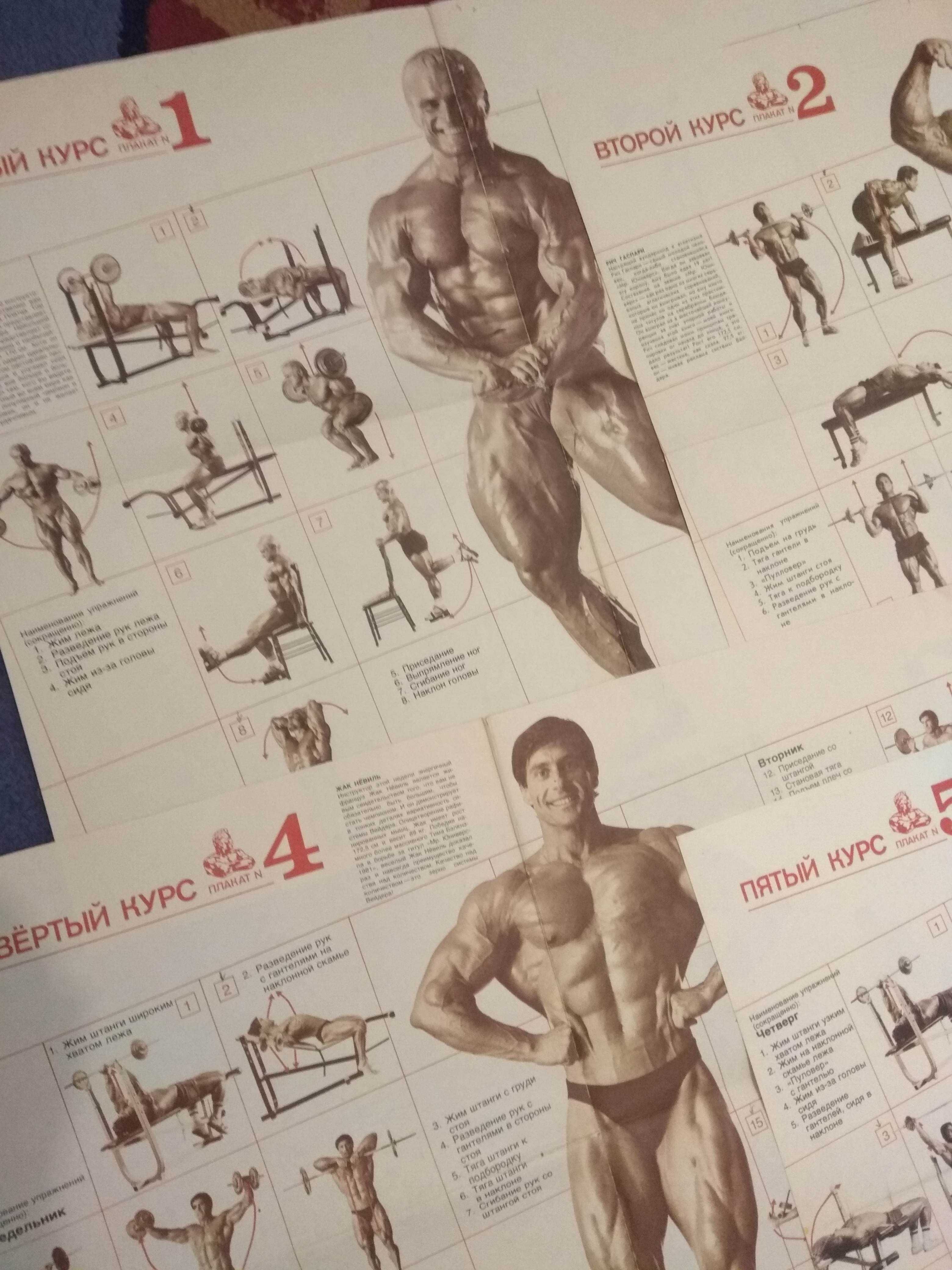 Плакаты Джо Вейдер Система строительства тела Оригинальные