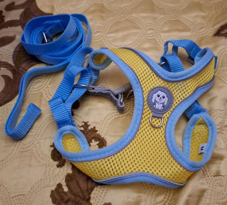 Поводок, шлея для собак