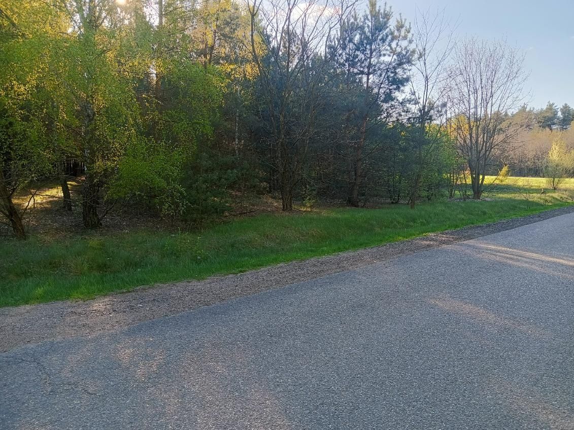 Sprzedam las 3,26 ha Gąsocin