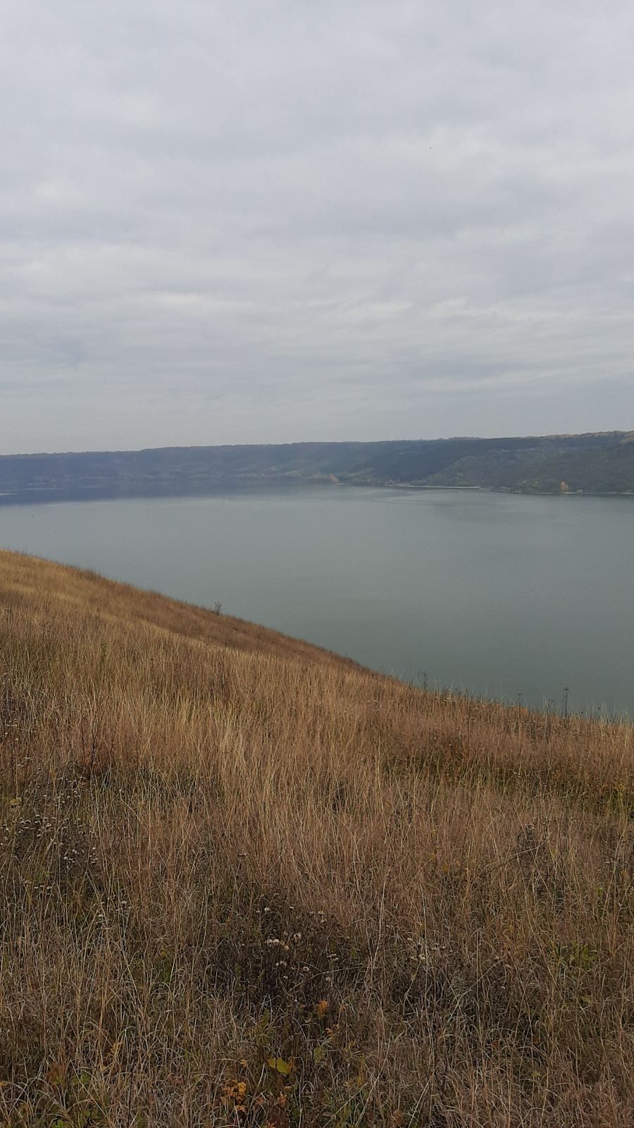 Земельна ділянка на березі Дністра