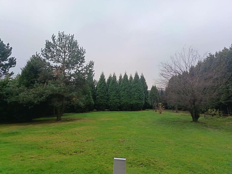 Działka  8 arów Zabłocie gmina Biskupice