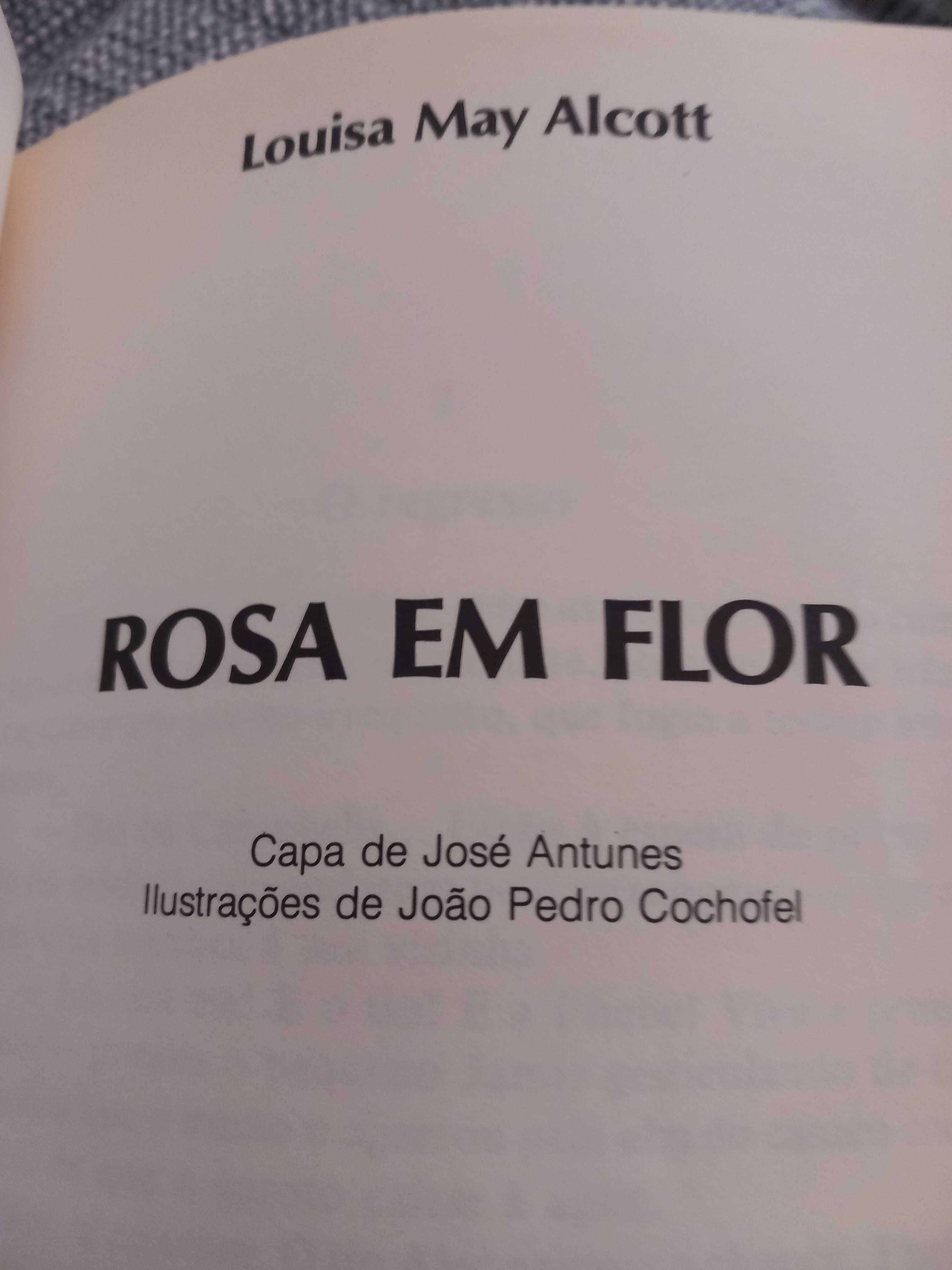 Rosa em Flor - romance de Louisa May Alcott (de As Mulherzinhas)