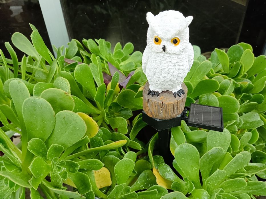 Mocho Coruja Solar para jardim suculentas orquídeas hoya jade plantas