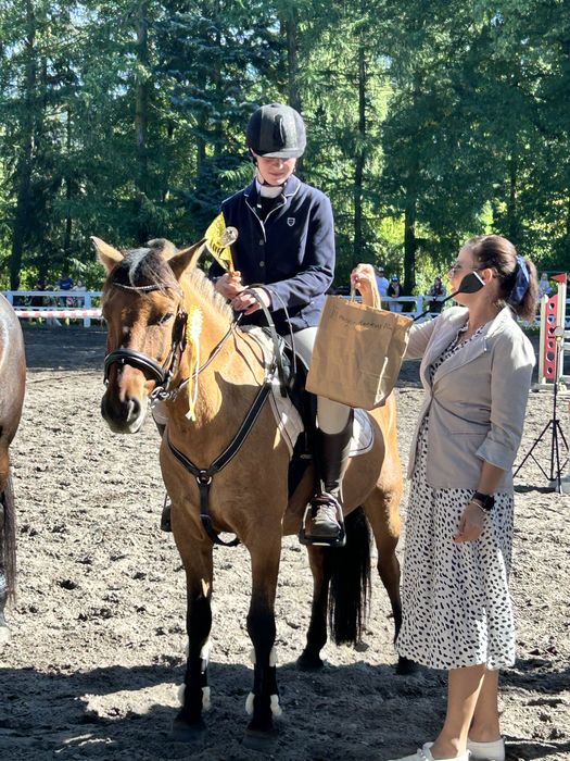 Zefir szuka człowieka