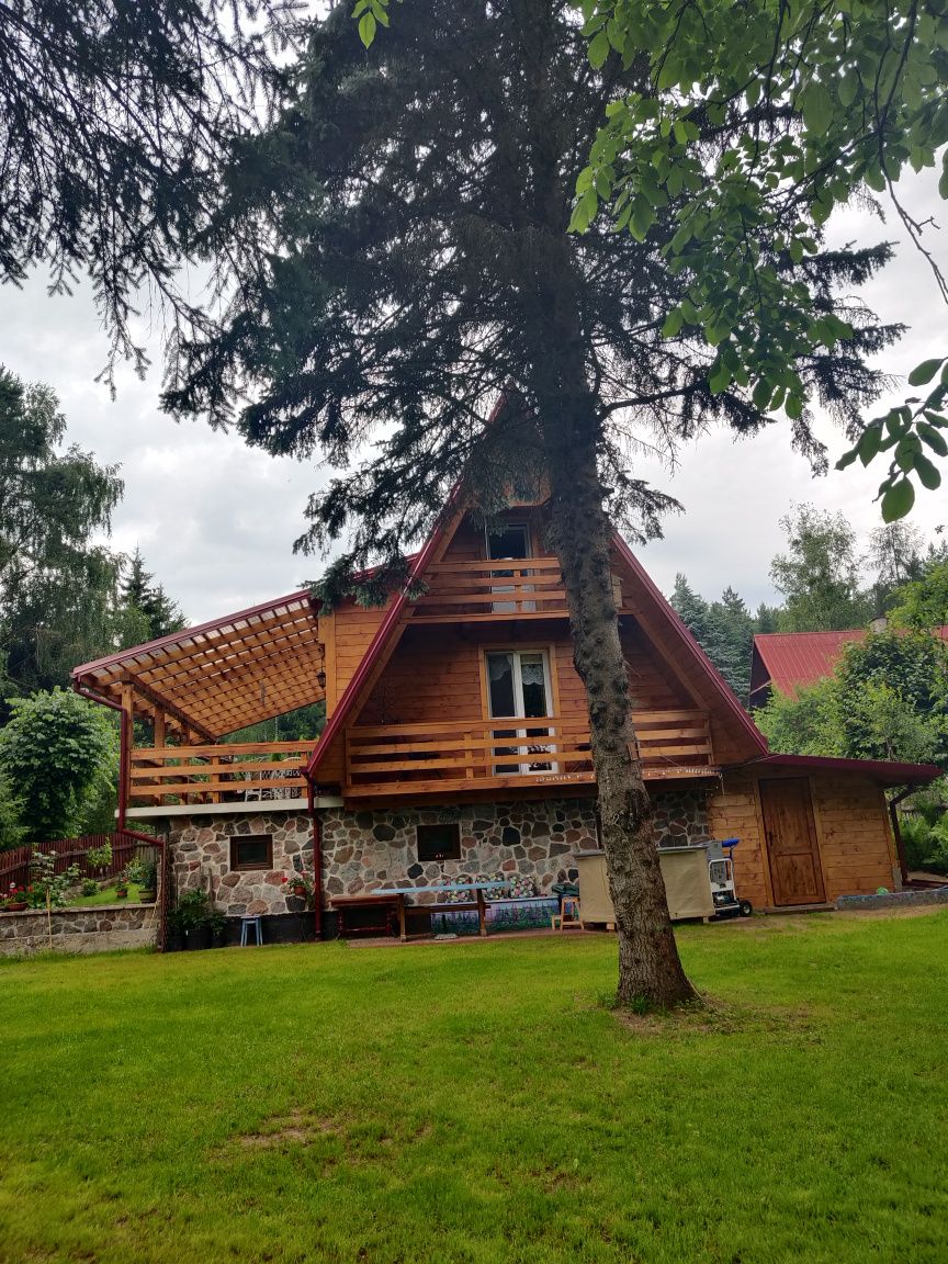 Dom do wynajęcia