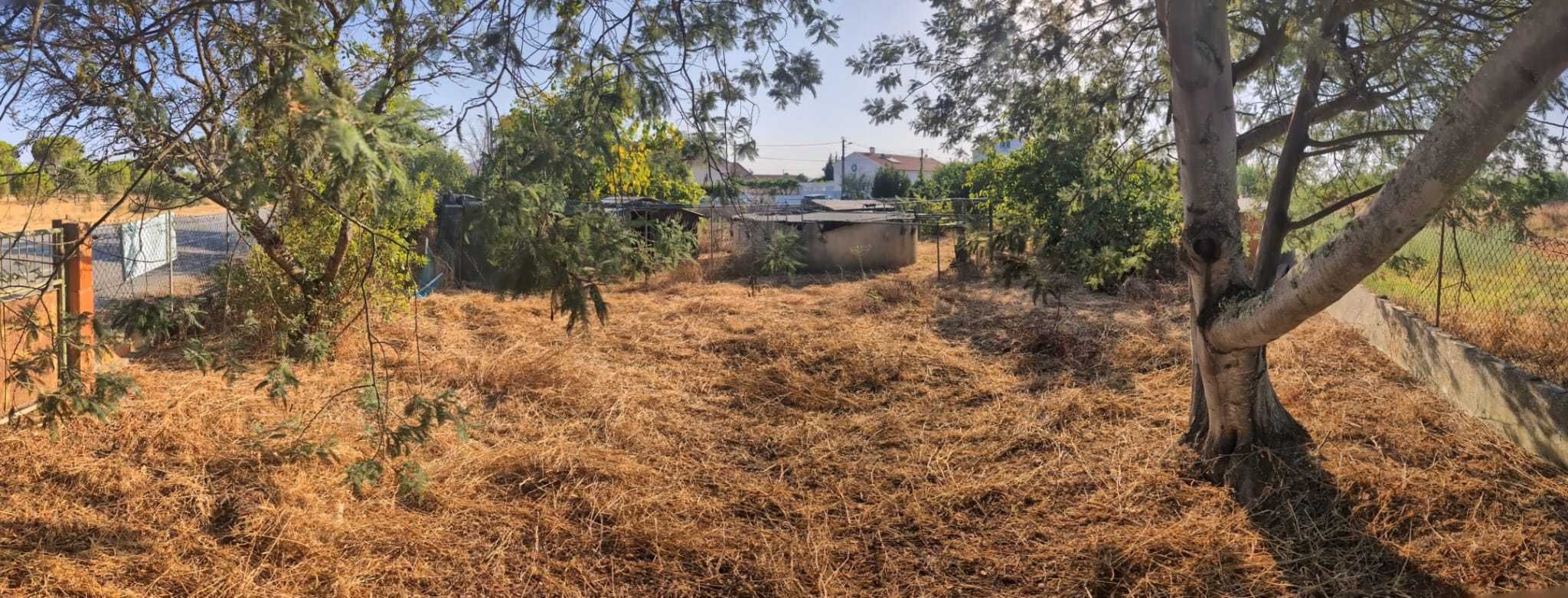 Prédio e propriedade em Grândola.