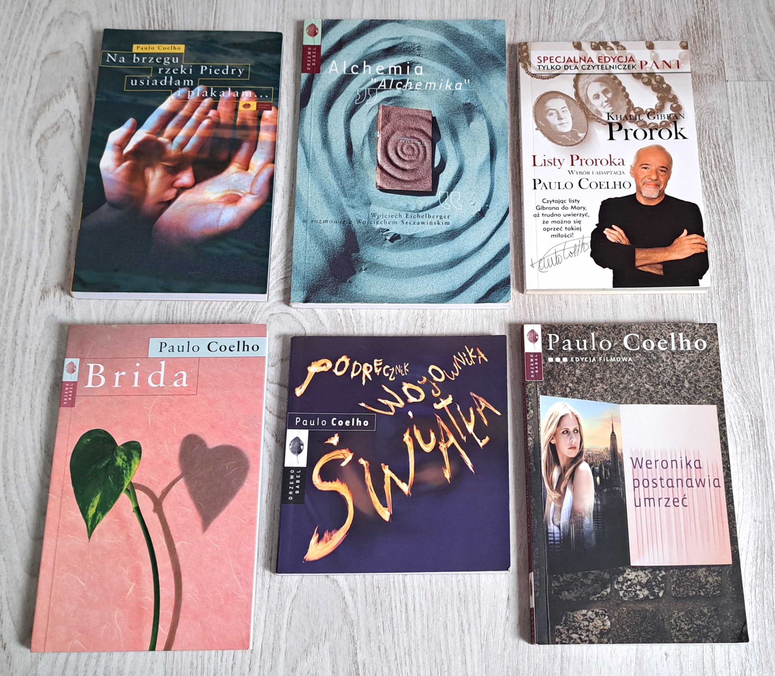 6 Coelho Podręcznik Wojownika Brida Prorok Weronika Alchemia alchemika