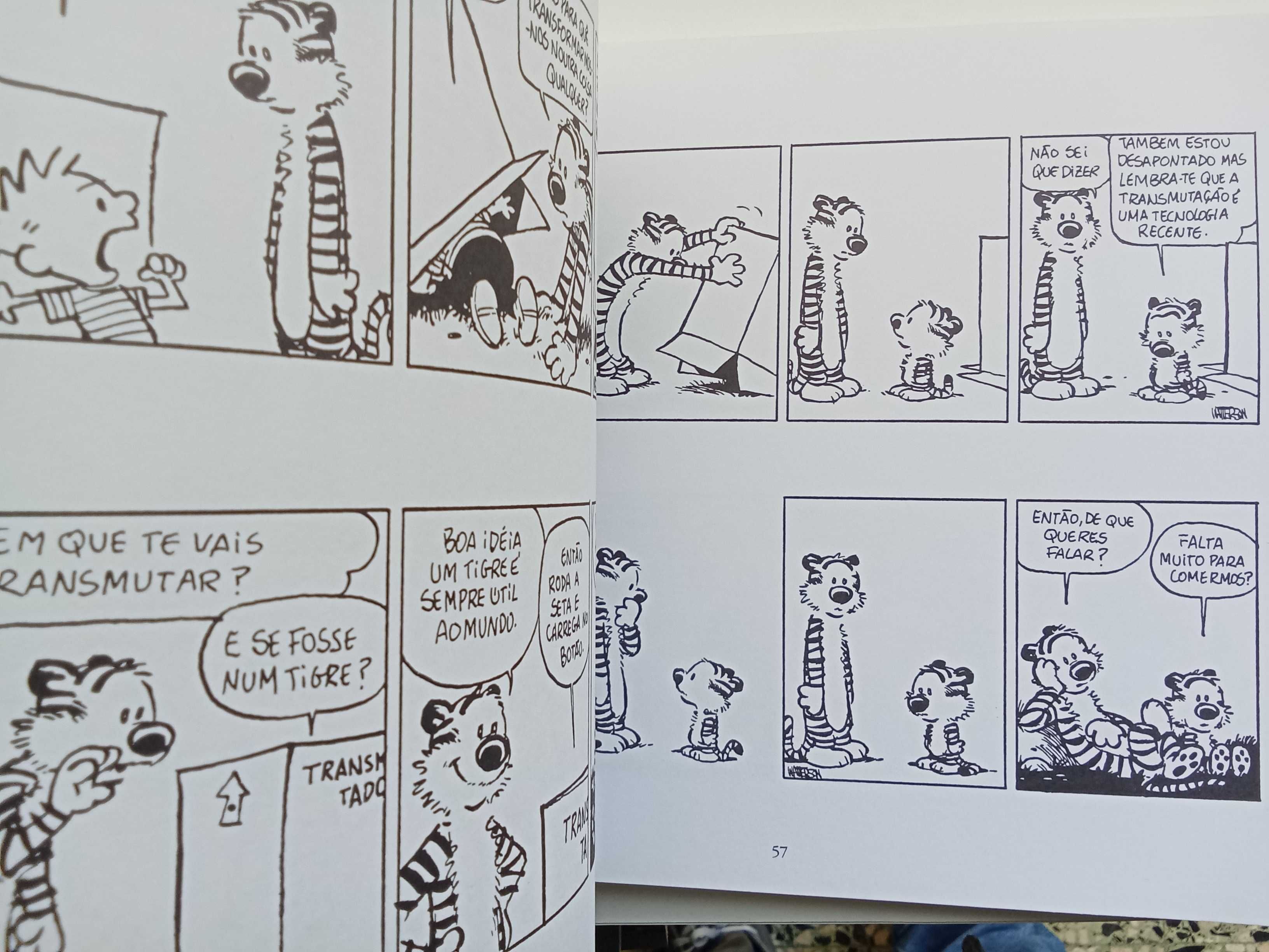 Bill Watterson - Parabéns, Calvin & Hobbes