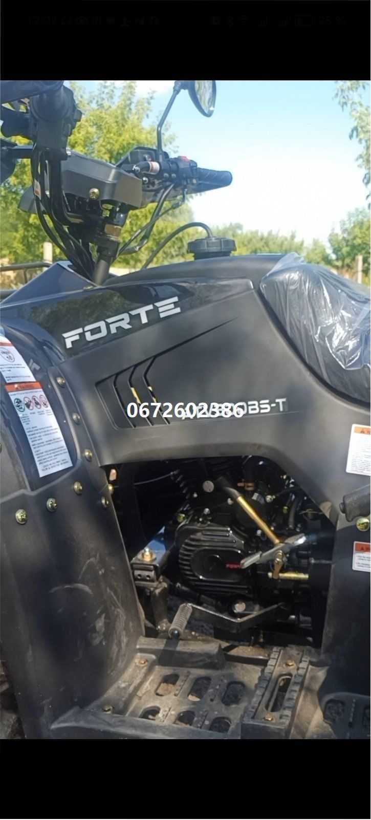 Квадроцикл вантажний Forte ATV 300 BS-T 4WD (чорний) Форте доставка