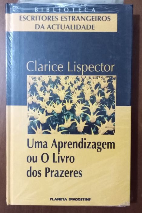 Uma Aprendizagem ou o Livro dos Prazeres - Clarice Lispector