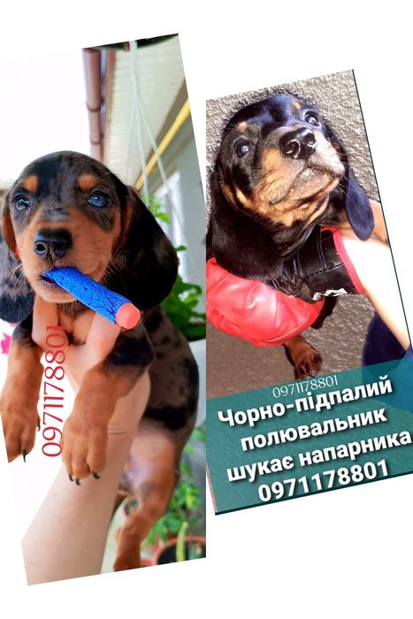 Найкращий вибір подарунок на день народження,