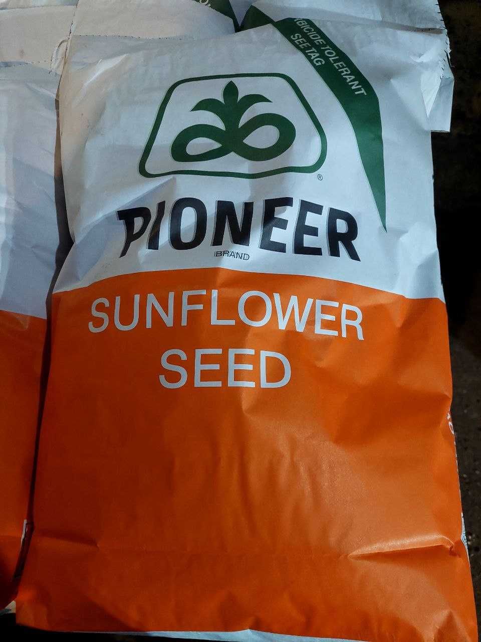 Продам насіння Соняшнику