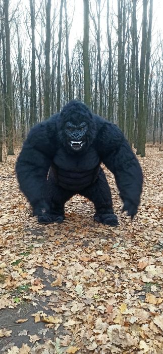 Поздравление Белый Мишка, Пес Патрон и Мишка Позитивчик. Зайка, Горила