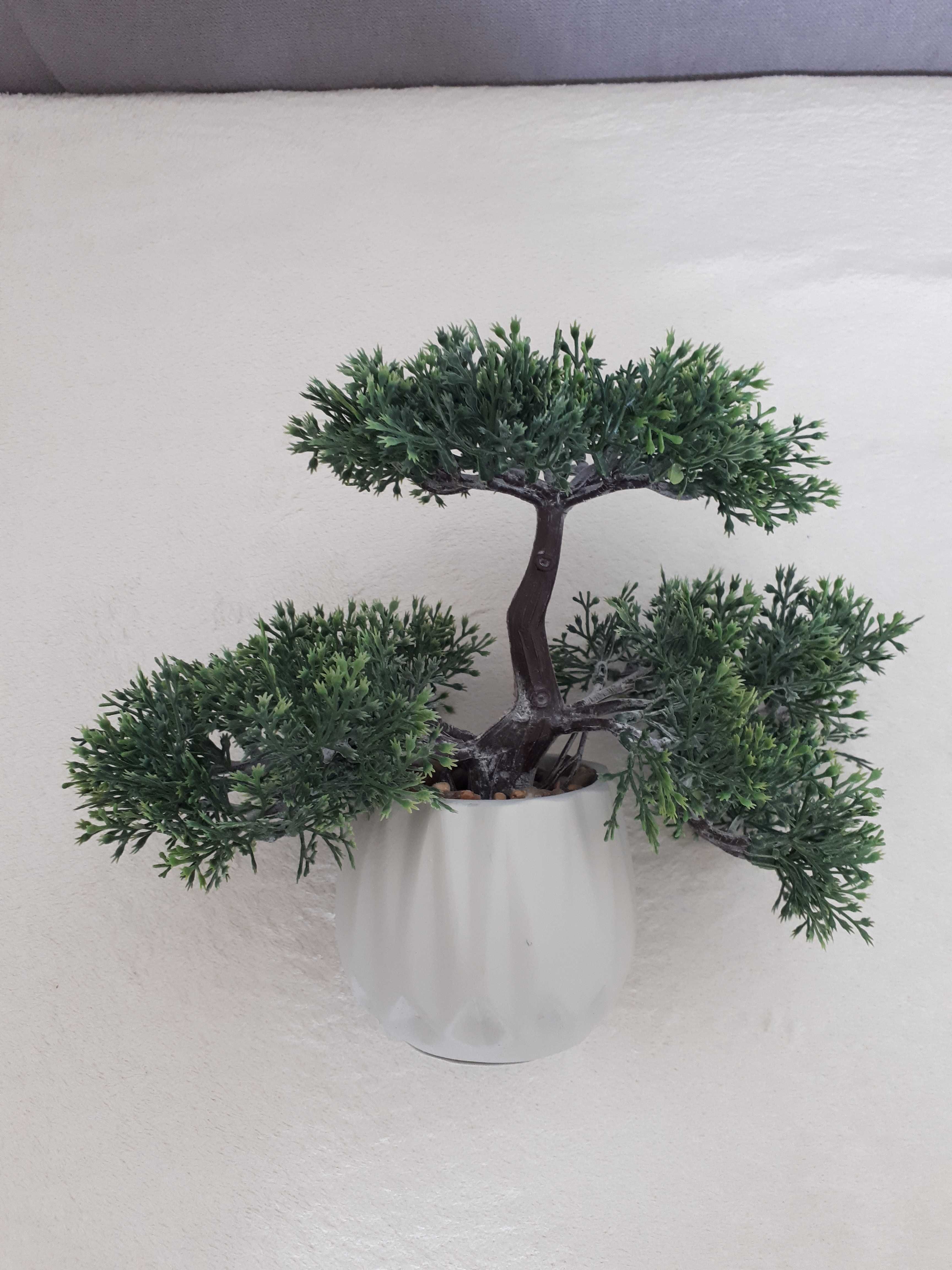 Drzewko Bonsai ( Sztuczne)