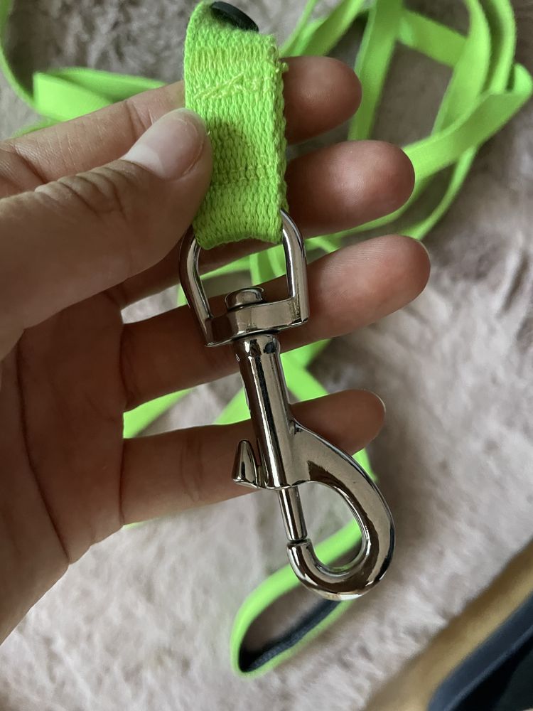 Kapok i smycz 5m dla psa