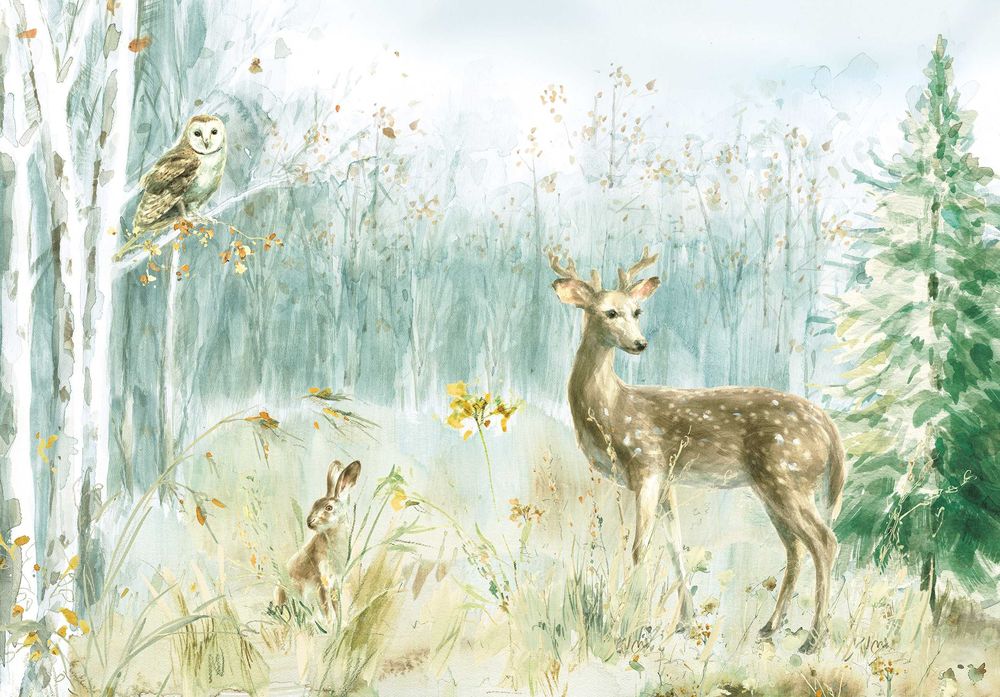 Fototapeta Las Sarenka Natura Dla Dzieci Widok 3D Twój Rozmiar + KLEJ