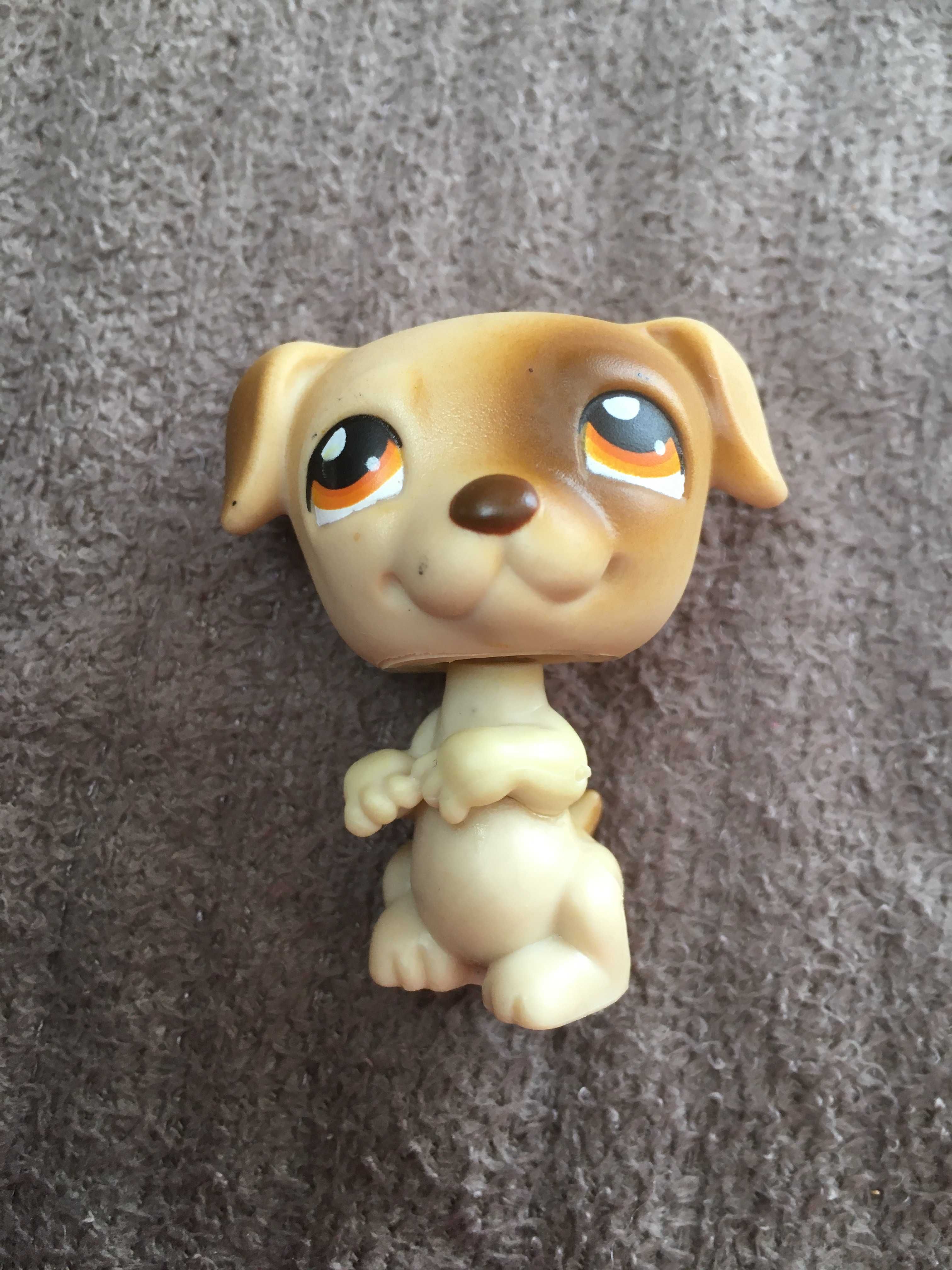 Figurka Littlest Pet Shop piesek Jack Russel Terrier LPS #109 +dodatki