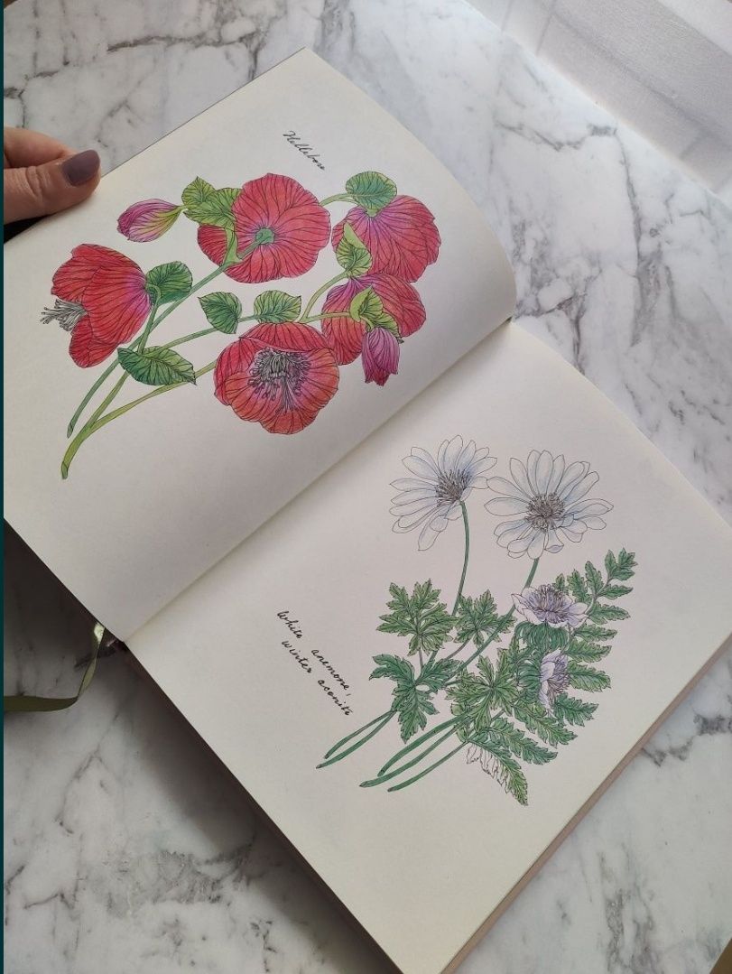 The Flower Year: A Colouring Book