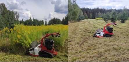 Koszenie trawy, zarośli. Wertykulacja trawników. Mycie kostki brukowej