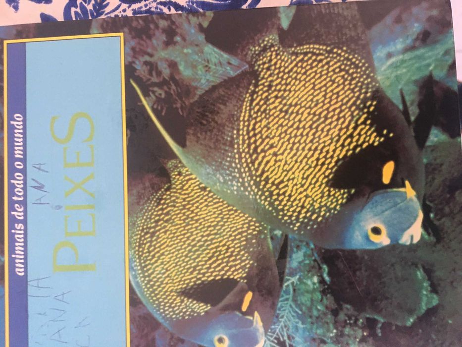 total 12 livros animais de todo o mundo edição 1990 Circ.Leitores