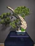 Drzewko Bonsai z mchem, Sztuczne drzewko BONSAI, artystyczne wykonanie